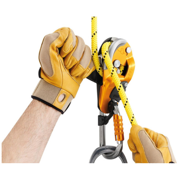 Ski stopper Petzl Rig