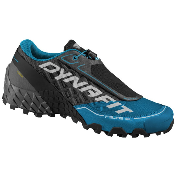 Buty do biegania dla mężczyzn Dynafit Feline Sl Gtx czarny/niebieski Carbon/Frost