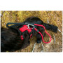 Szelki dla psa Mountain Paws Dog Harness