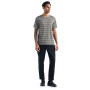Koszulka męska Icebreaker Mens Wave SS Tee Stripe