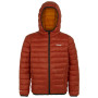 Dziecięca kurtka zimowa Regatta Junior Hooded Marizion Rooibos Tea pomarańczowy Rooibos Tea(Black)