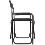 Fotel Brunner Aravel Director 3D