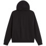 Bluza męska The North Face M Evolution Simple Dome Regular Full Zip