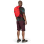 Plecak Osprey Siskin 12