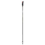 Kije narciarskie Leki Carbon 12 3D czarny/szary black-dark anthracite-neonyellow
