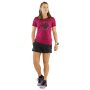 Koszulka damska Dynafit Artist Series Co T-Shirt W