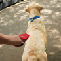 Smycz dla psa Nite Ize RadDog™ Retractable Pocket Leash