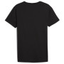 Koszulka męska Puma Everyday Crew Neck Tee 2P