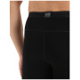 Męskie kalesony Icebreaker M 260 Tech Leggings wFly