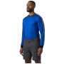 Męska koszulka Helly Hansen HH Lifa Stripe Crew