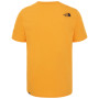 Koszulka męska The North Face Easy Tee