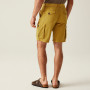 Spodenki męskie Regatta Shorebay Shorts II