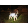 Peleryna dla psa Mountain Paws Reflective Fleece-Lined Dog Raincoat