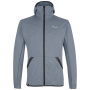 Męska bluza Salewa Solid Logo Dry M FZ HDY szary/czarny FlintStoneMelange
