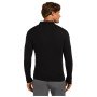 Męska koszulka Icebreaker M 175 Everyday LS Half Zip