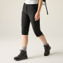 Damskie spodnie 3/4 Regatta Women’s Xert Stretch Capri Light