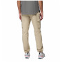 Spodnie męskie Columbia Skien Valley™ Cargo Pant