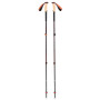 Kije trekkingowe Black Diamond Trail Cork Trekking Poles