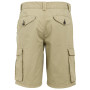 Męskie szorty Regatta Shorebay Shorts II