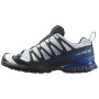 Buty do biegania dla mężczyzn Salomon Xa Pro 3D V9 GTX Icon