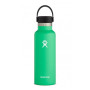 Butelka termiczna Hydro Flask Standard Mouth 18 oz zielony/czarny Spearint