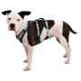 Szelki dla psa Ruffwear Flagline™ Harness
