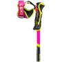 Kije Leki WCR TBS SL 3D