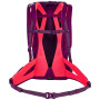 Plecak Salewa Alp Trainer 20 Ws