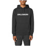 Bluza męska Salomon Logo Hoodie M