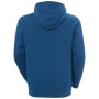 Bluza męska Helly Hansen HH Logo Hoodie