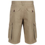Męskie szorty Regatta Shorebay Short