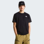 Koszulka męska The North Face M Evolution Box Nse Regular Short Sleeve