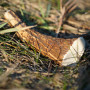Zabawka dla psa Explorer Dog Antler Chew easy