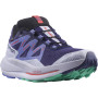Damskie buty do biegania Salomon Pulsar Trail Gtx W