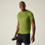 Koszulka męska Regatta Fingal Edition