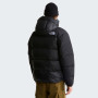 Męska kurtka puchowa The North Face M Hmlyn Down Parka