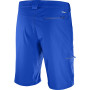 Męskie szorty Salomon Wayfarer LT Short M
