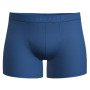Męskie bokserki Icebreaker M Anatomica Cool-Lite Boxers niebieski Lazurite