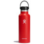 Butelka termiczna Hydro Flask Standard Mouth 18 oz czerwony GOJI