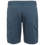 Męskie szorty Regatta Ruwan Shorts