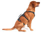Szelki dla psa Mountain Paws 3-Strap Dog Harness