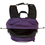 Plecak The North Face Hot Shot Se