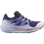 Damskie buty do biegania Salomon Pulsar Trail Gtx W