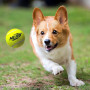 Zabawka dla psa Nerf Dog Blaster + Tennis Balls 3 pcs