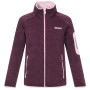 Bluza dziecięca Regatta Junior Newhill Fig Powder Lilac czerwony FigPowLilac