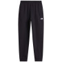 Męskie spodnie dresowe The North Face M Evolution Simple Dome Regular Jogger czarny TNF BLACK