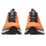 Buty do biegania Lowa Skyterra