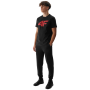 Męskie spodnie dresowe 4F Trousers Cas M645