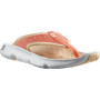 Japonki damskie Salomon Reelax Break 5.0