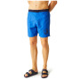 Męski strój kąpielowy Regatta Bentham swim short